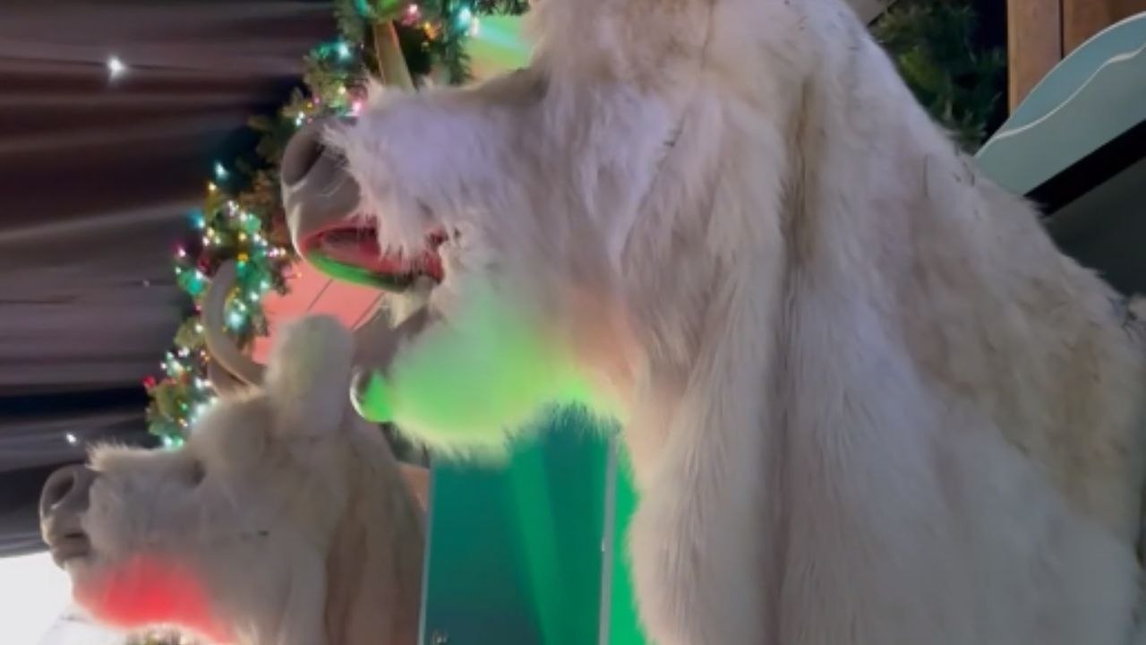 Baby girl is utterly gobsmacked at the strange sight of singing reindeer