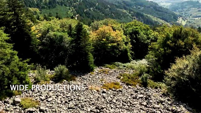 l'art de la créativité, artistes et artisans du pilat (Bande Annonce)