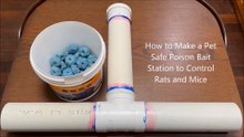 How to Make a Pet Safe Poison Bait Station the Control Rats and Mice