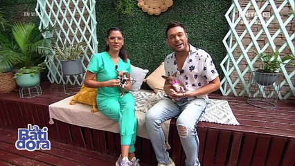 Artritis, los perros y gatos también la sufren, aprenda a identificarla