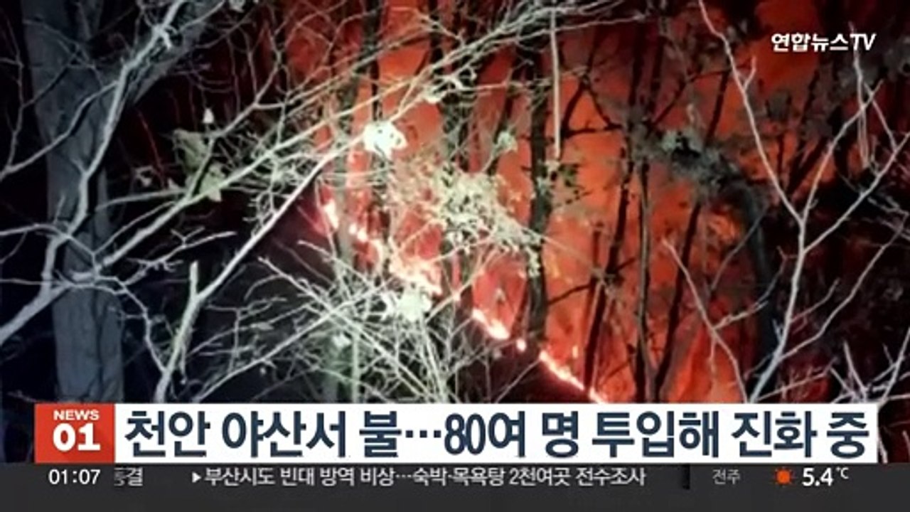 천안 야산서 불…80여명 투입해 진화 중