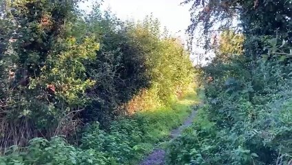 Wellington's Tonedale Mill site visited