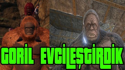 Komik Goril Evcilleştirme !!!! - Ark Survival Evolved 2.Sezon