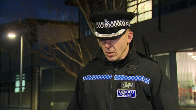 Police find four bodies in search for missing teenagers