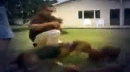 The Dog Whisperer Season 4 Episode 5 Reggie, Diva, Rocco, Vito And Mugsy