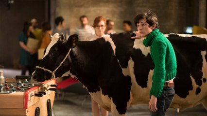 Gaston Lagaffe rejoint Peticoin 🏢