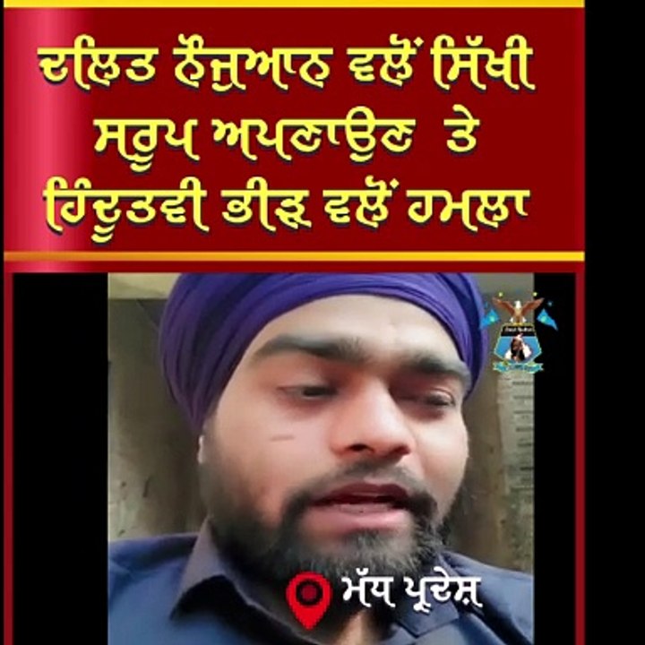 MP news