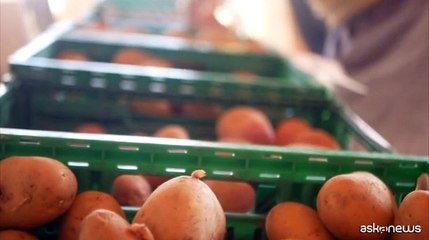 Prosegue "Potatoes Forever!", la campagna UE promossa da UNAPA