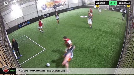 Faute de Romain MAIRE - LES CAMELEONS