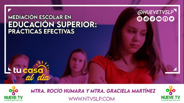 Mediación Escolar en Educación Superior: Prácticas Efectivas
