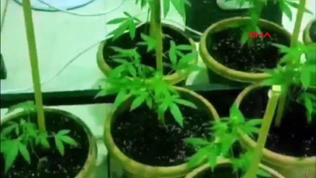 Menemen'de uyuşturucu imalathanesine operasyon: Çok miktarda uyuşturucu ele geçirildi