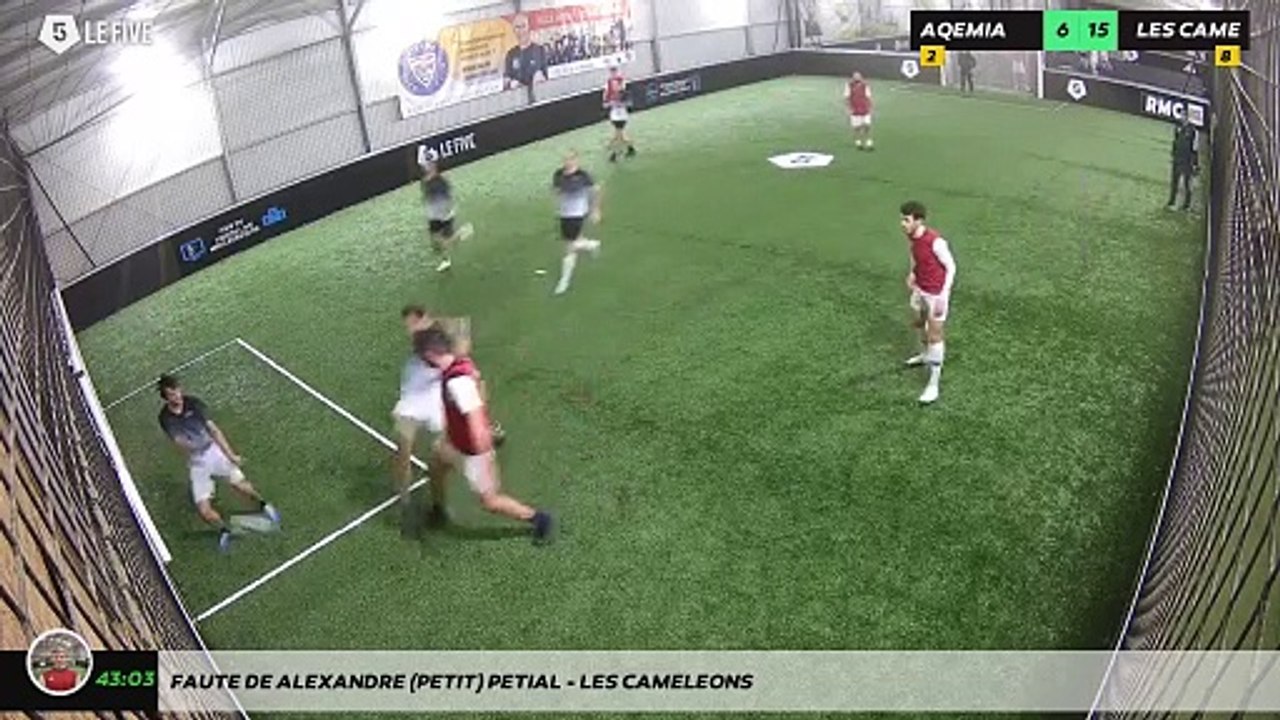 Faute de Alexandre (petit) Petial - LES CAMELEONS