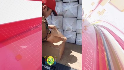 PRE intercepta drogas e cigarros em ação na PR-323; um foi preso