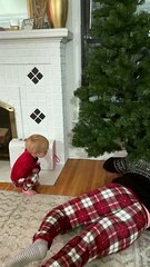 Christmas Tree Lights Adorably Dazzle
