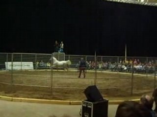 Monty Roberts in Helsinki "Matti"