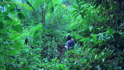 Overnight shelter in a cave, hunt bugs for cooking, survival skills - bushcraft