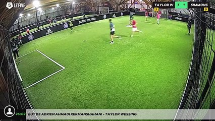 But de Adrien AHMADI KERMANSHAHANI - TAYLOR WESSING