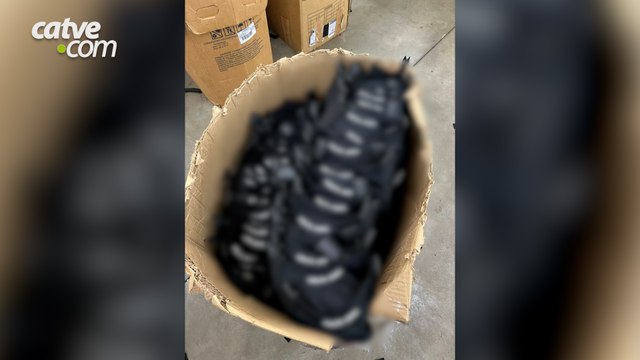 Mais de R$ 3 milhões em produtos falsificados são apreendidos em fábricas clandestinas Operação de combate a pirataria foi em conjunto entre o Gaeco, Polícia Militar e Promotoria de Justiça