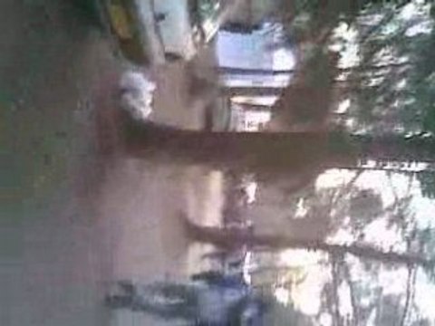 teuf KRS tribal circus 29/03/2008