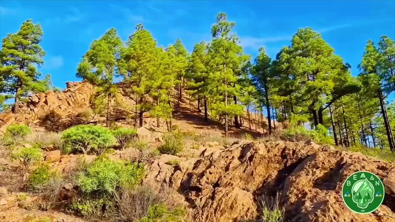 Ruta: Barranco Los Manantiales – Barranco La Plata.