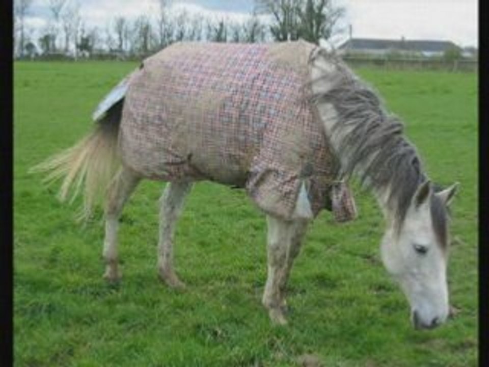 Séance photos du 30 mars 2008