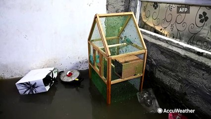 Torrential rainfall and flood damage in Iraq