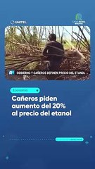 Cañeros piden aumento del 20% al precio del etanol