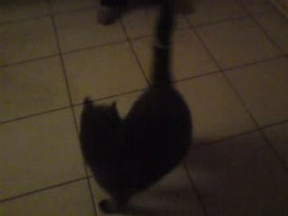 Sasha fait le fou fou !!!!!!!!!!!!