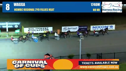 Heavens Badgirl wins Breeders Challenge Regional heat