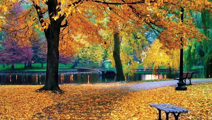 The Edmonton Oilers Are Having A Really Bad Season