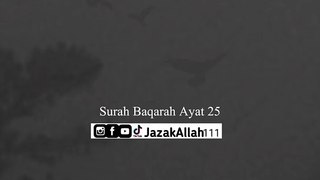 Surah baqarah translation ayat 25