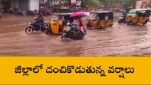 నెల్లూరు: జిల్లాలో దంచికొడుతున్న వర్షాలు... నేడూ కూడా..