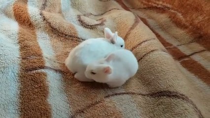 Riley Nixon, Charlie Forde - Sharing Is Caring