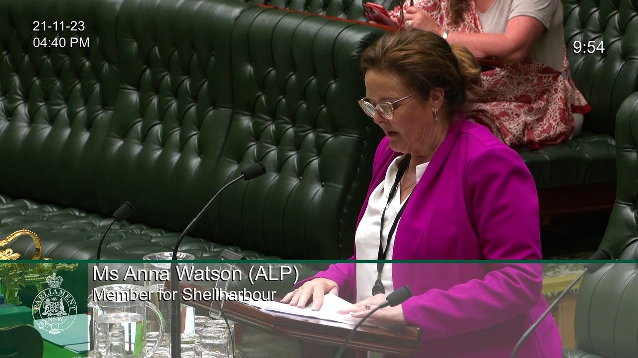 Anna Watson speaks in parliament on new Building Commissioner powers