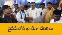 నెల్లూరు జిల్లా: కోటంరెడ్డి ఇలాకాలో టీడీపీకి భారీ షాక్