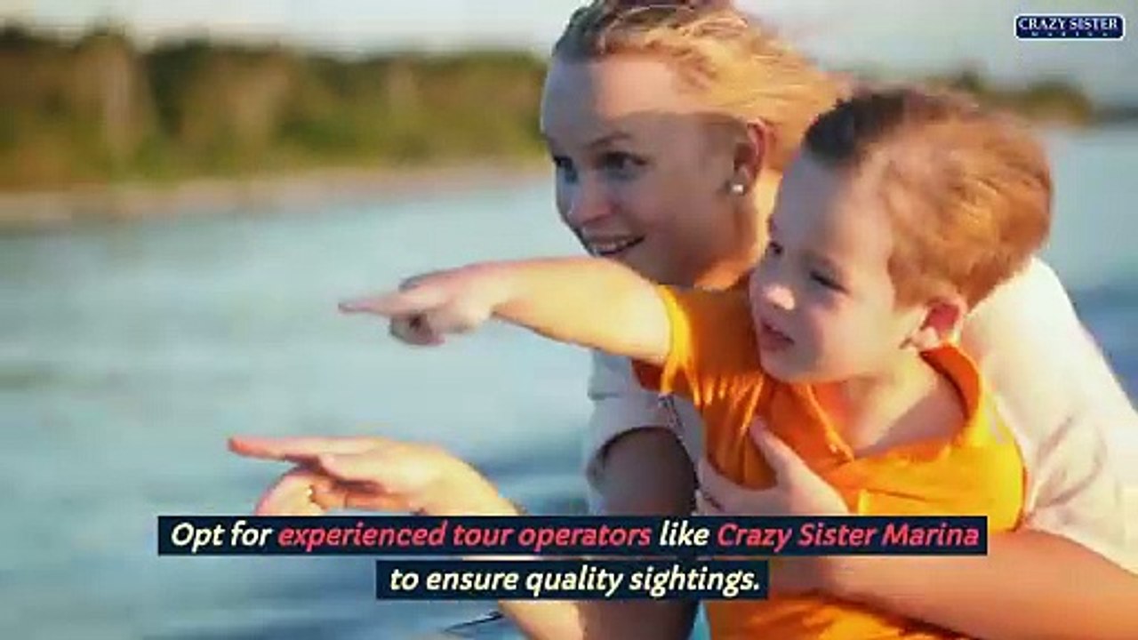 Are Myrtle Beach Dolphin Cruises Worth The Experience