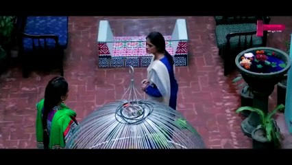 Bhai - A Plus Entertainment - Episode 2
