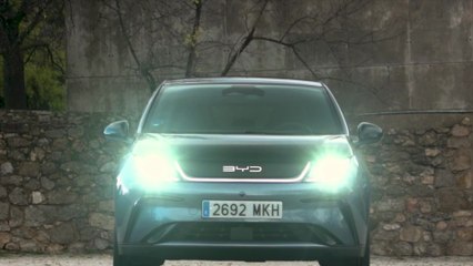 BYD DOLPHIN Design Preview
