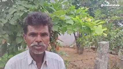 నాగార్జున సాగర్: మళ్ల కేసీఆర్ రావాలె.. రైతులకు మంచిగ చేసిండు