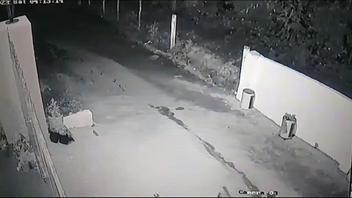 குன்னூர் அருகே வீட்டில் சுவர் ஏறி குதித்து பூனையை கவ்விச் சென்ற சிறுத்தை; அச்சத்தில் குடியிருப்பு வாசிகள்