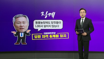 [더정치] 최강욱 '설치는 암컷' 발언 후폭풍...9·19 합의 효력 정지 이견 / YTN