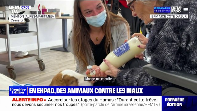 Alpes-Maritimes: dans cet Ehpad, des animaux de la ferme rendent visite aux résidents