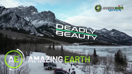 Amazing Earth: Winter adventures that will make you shiver! (Online Exclusives)