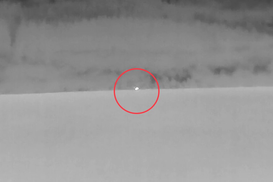 Loch Ness Monster DNA test shows Nessie is 'algae-based' creature: filmmakers