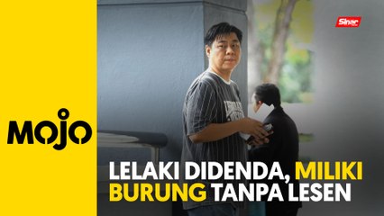 Simpan 13 burung tanpa lesen, lelaki didenda RM40,000
