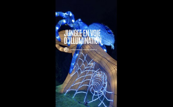 Jardin des Plantes : Jungle en voie d’illumination , une exposition pour découvrir la biodiversité des forêts tropicales humides