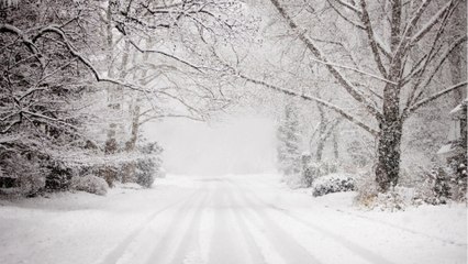 Wetter: In diesem Bundesland werden 16 cm Neuschnee erwartet