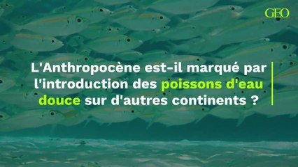 L'Anthropocène est-il marqué par l'introduction des poissons d'eau douce sur d'autres continents ?