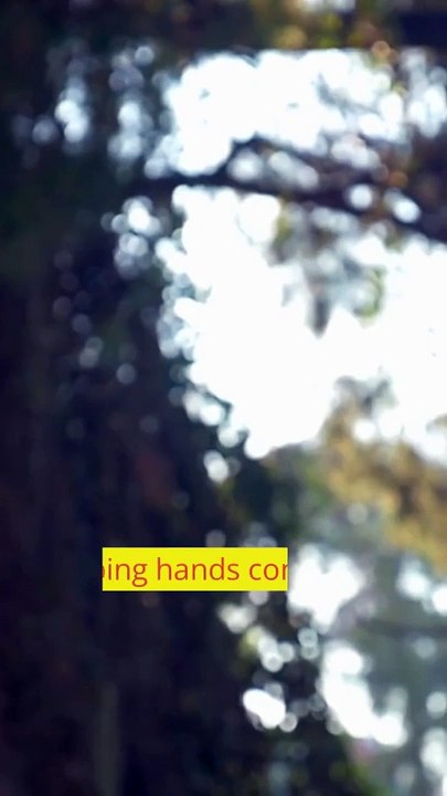 Public Liability Helping Hands Safely