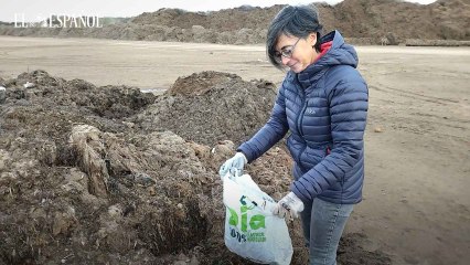 Así es el proyecto Algarikon que investiga posibles usos de las algas retiradas del Mar Menor